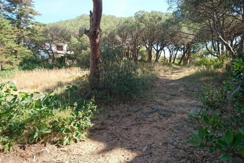 Land en Sant Feliu de Guíxols, Spain No. 26469 10