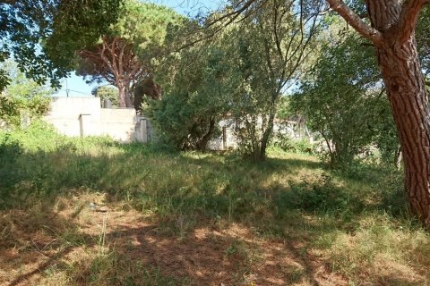 Land en Sant Feliu de Guíxols, Spain No. 26469 4