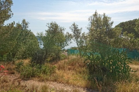 Land en Sant Feliu de Guíxols, Spain No. 26469 7