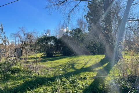 3800m² Land in Corfu, Greece No. 60180 15