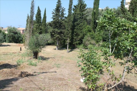 2500m² Land in Corfu, Greece No. 60178 3