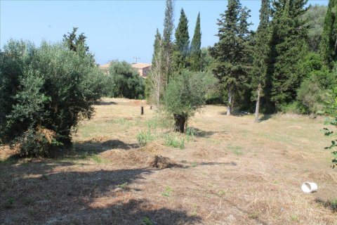 2500m² Land in Corfu, Greece No. 60178 4