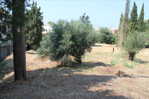 2500m² Land in Corfu, Greece No. 60178 5