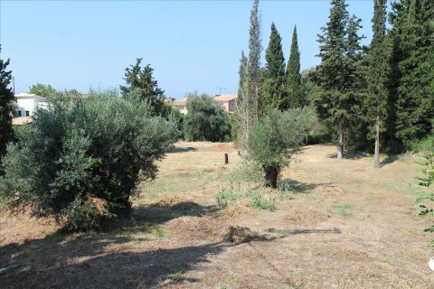 2500m² Land in Corfu, Greece No. 60178 1