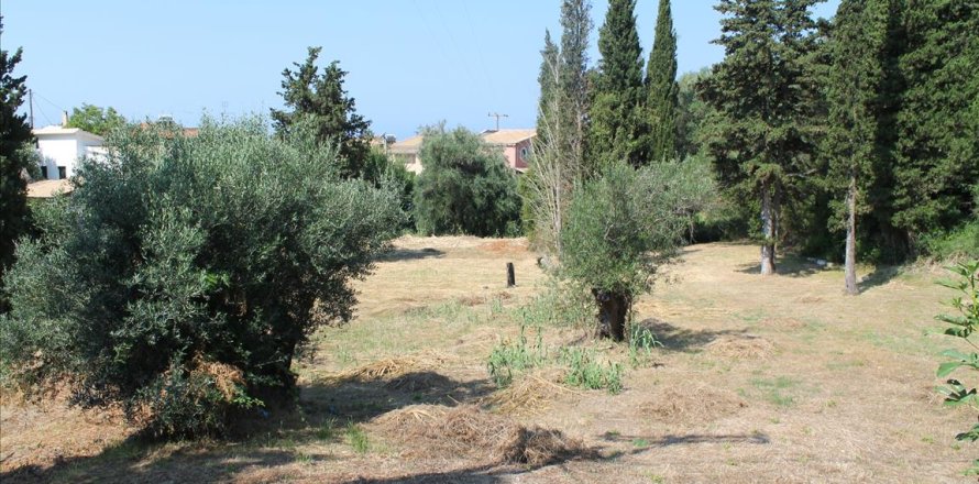 2500m² Land in Corfu, Greece No. 60178