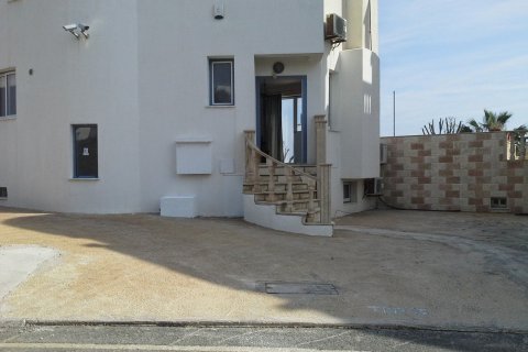 6 dormitorios House en Chloraka, Cyprus No. 37384 8