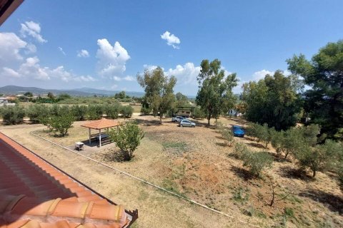 3 bedrooms Maisonette in Polygyros, Greece No. 54414 12