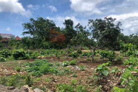 Land à Gianyar, Indonesia No. 22873 2