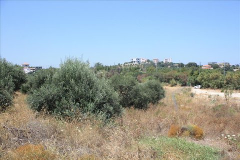 6340m² Land in Chania, Greece No. 58018 8