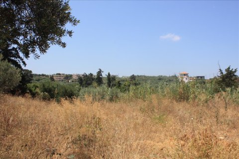 6340m² Land à Chania, Greece No. 58018 5