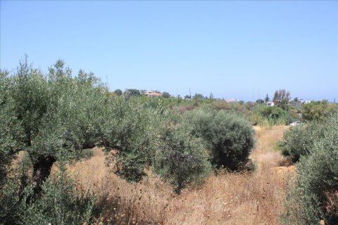 6340m² Land en Chania, Greece No. 58018 6