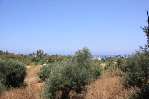 6340m² Land en Chania, Greece No. 58018 2