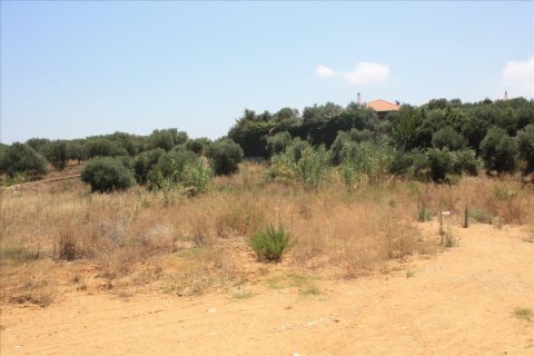 6340m² Land en Chania, Greece No. 58018 4