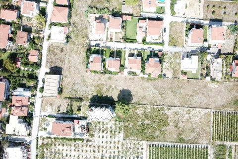 18445m² Land en Corinth, Greece No. 58223 3