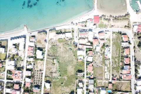 18445m² Land in Corinth, Greece No. 58223 9