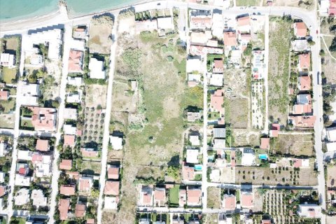 18445m² Land in Corinth, Greece No. 58223 6