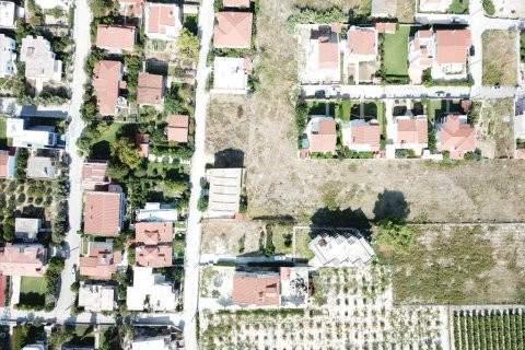 18445m² Land in Corinth, Greece No. 58223 2