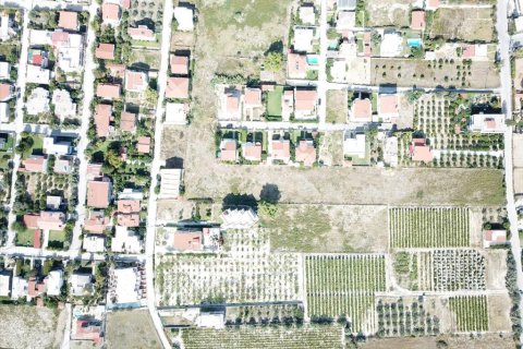 18445m² Land in Corinth, Greece No. 58223 4