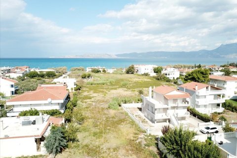 18445m² Land en Corinth, Greece No. 58223 1