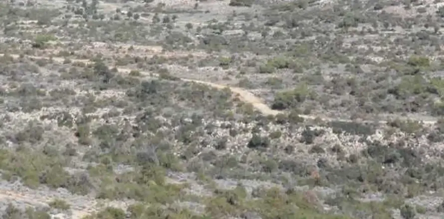 29933m² Land in Pissouri, Cyprus No. 35742