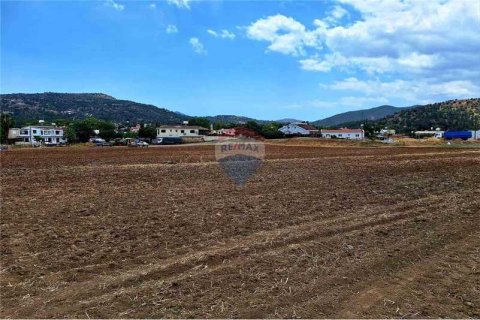 11372m² Land en Psevdas, Cyprus No. 75309 3