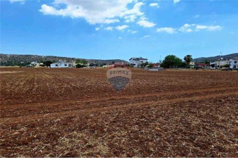 11372m² Land en Psevdas, Cyprus No. 75309 7