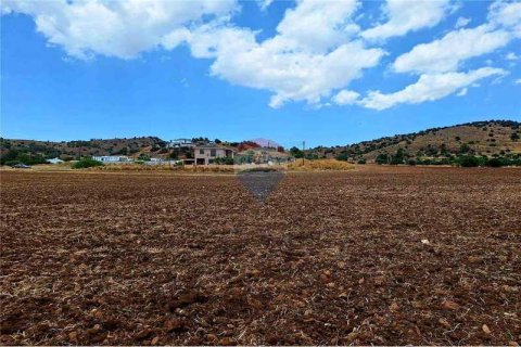 11372m² Land en Psevdas, Cyprus No. 75309 4