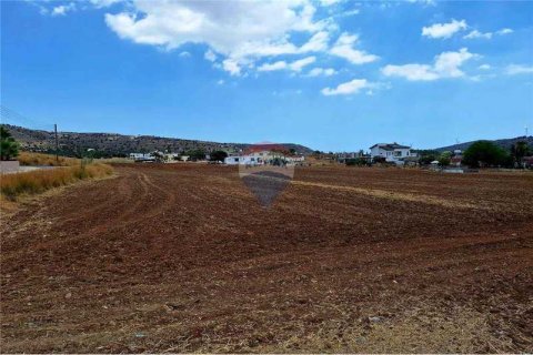 11372m² Land en Psevdas, Cyprus No. 75309 10