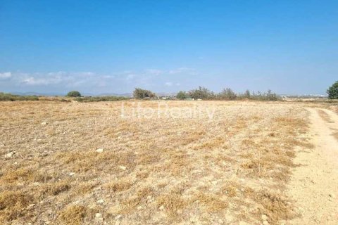 41807m² Land en Kato Polemidia, Cyprus No. 75306 6