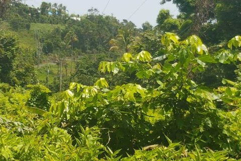 40469m² Land in Calibishie, Dominica No. 66286 6