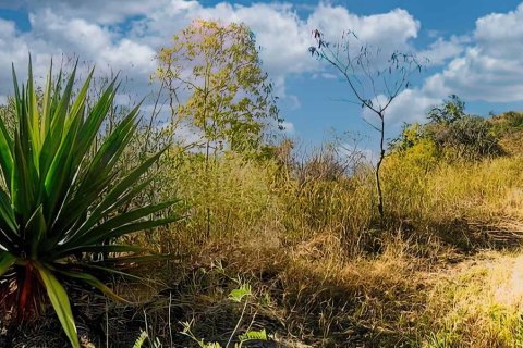 6637m² Land à Saint Joseph, Dominica No. 66292 6