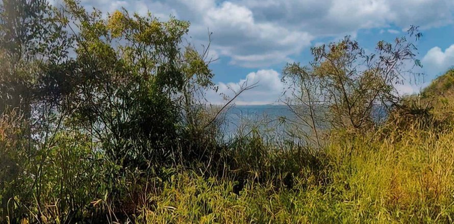 6637m² Land in Saint Joseph, Dominica No. 66292