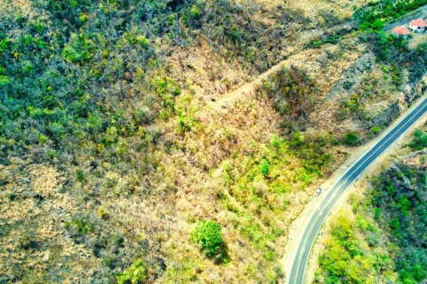 6637m² Land in Saint Joseph, Dominica No. 66292 2