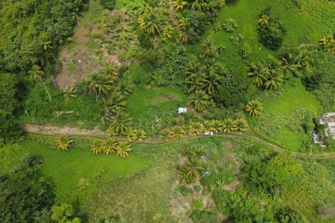 8778m² Land en Calibishie, Dominica No. 66287 3