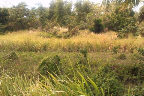 8778m² Land en Calibishie, Dominica No. 66287 11