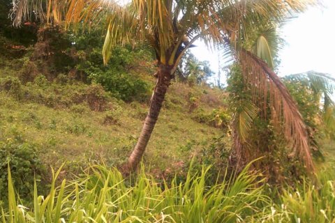 8778m² Land in Calibishie, Dominica No. 66287 9