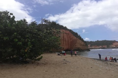 8778m² Land en Calibishie, Dominica No. 66287 16