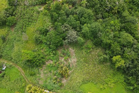 8778m² Land in Calibishie, Dominica No. 66287 7