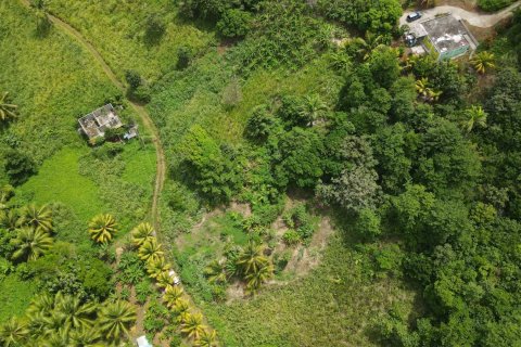 8778m² Land in Calibishie, Dominica No. 66287 1