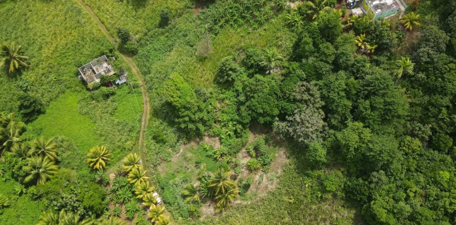 8778m² Land en Calibishie, Dominica No. 66287