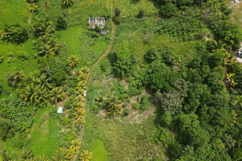 8778m² Land en Calibishie, Dominica No. 66287 4