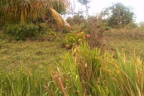 8778m² Land in Calibishie, Dominica No. 66287 10