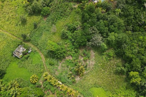 8778m² Land à Calibishie, Dominica No. 66287 5