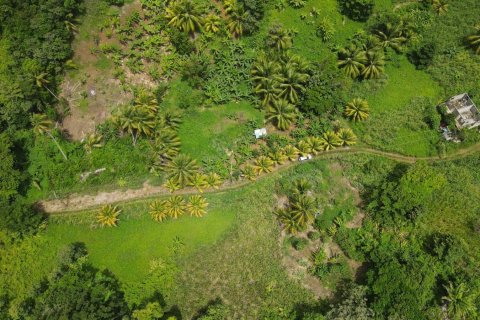 8778m² Land en Calibishie, Dominica No. 66287 6