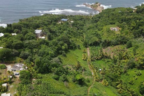 8778m² Land en Calibishie, Dominica No. 66287 2