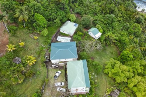 10 dormitorios Commercial property en Saint David, Dominica No. 66289 7