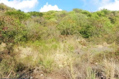 1432m² Land à Saint Joseph, Dominica No. 66291 11