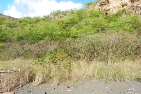 1432m² Land en Saint Joseph, Dominica No. 66291 7