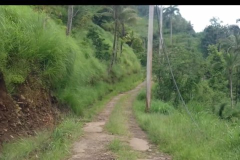 3 dormitorios  Castillos en Riviere Cyrique, Dominica No. 66288 27