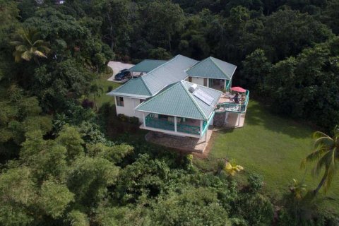 3 bedrooms Villa in Eggleston, Dominica No. 66290 3